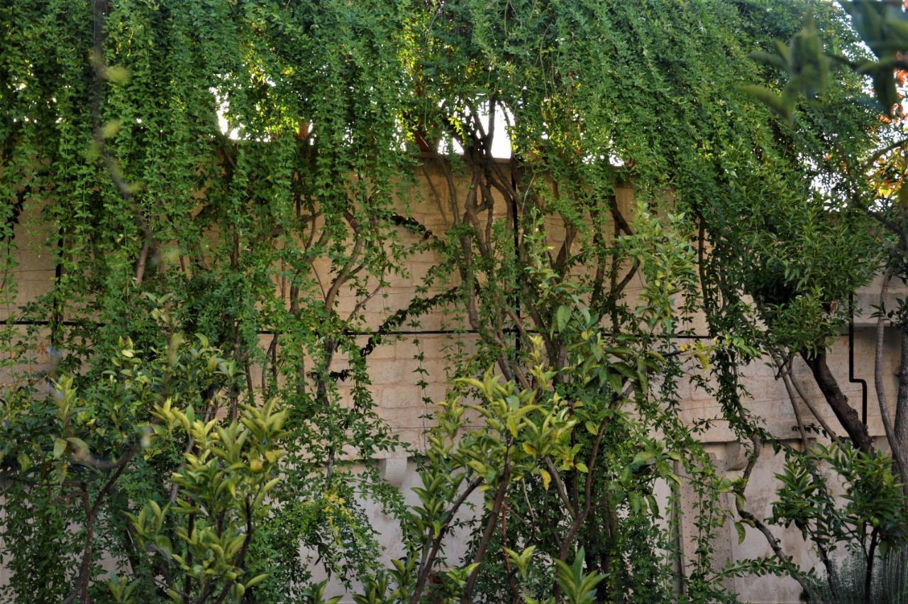 Il Sogno Delle Benedettine Hotel Ostuni Exterior photo